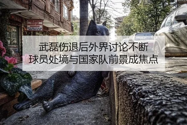 武磊伤退后外界讨论不断 球员处境与国家队前景成焦点